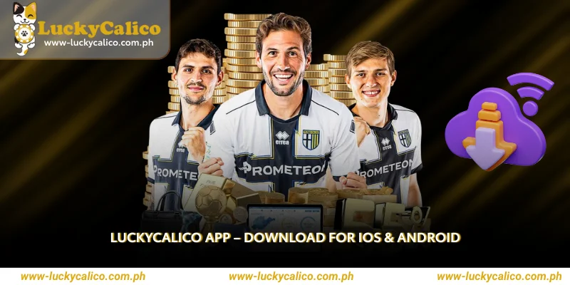 Luckycalico App