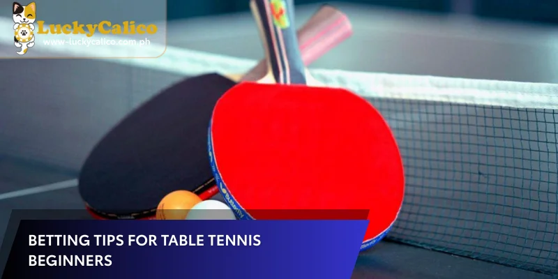Betting Tips for Table Tennis Beginners
