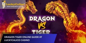 Dragon Tiger Online Guide at Luckycalico Casino