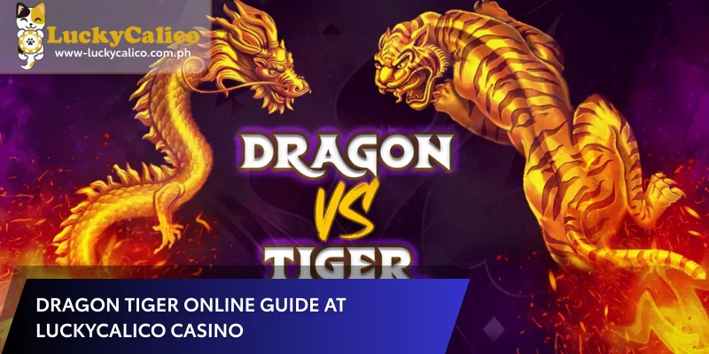 Dragon Tiger Online Guide at Luckycalico Casino