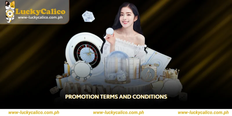 Promotion Terms and Conditions