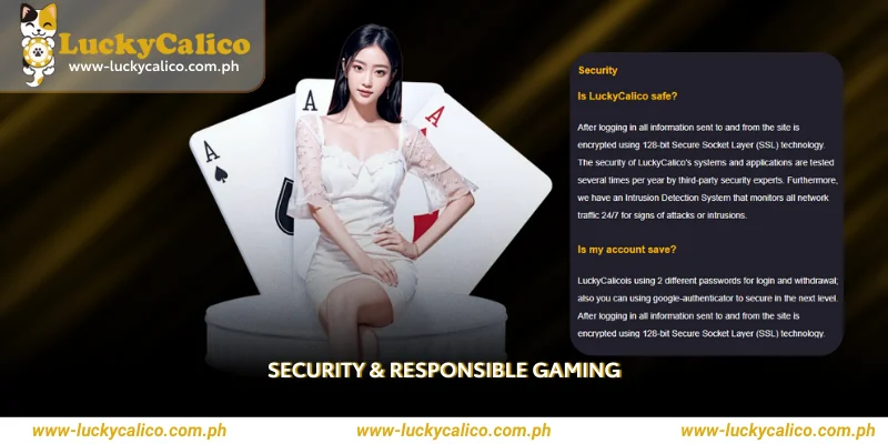 Security & Responsible Gaming