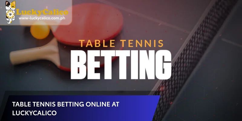Table Tennis Betting Online at Luckycalico