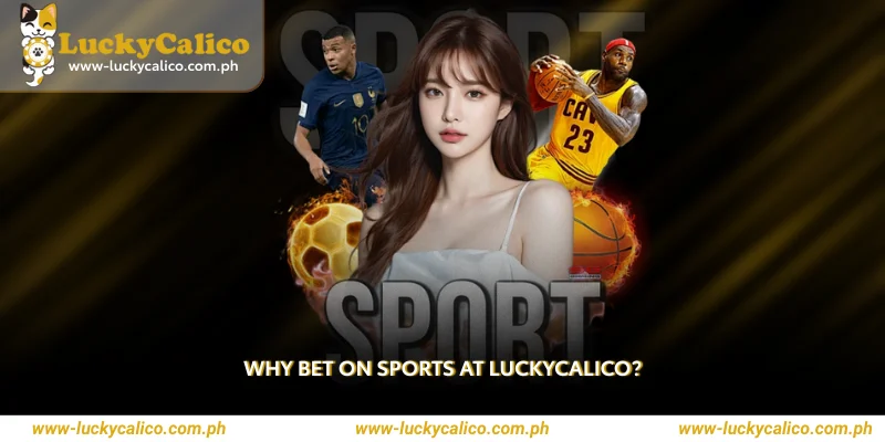 Why Bet on Sports at Luckycalico?