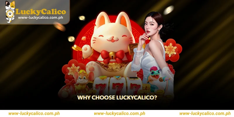 Why Choose Luckycalico