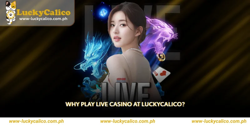 Why Play Live Casino at Luckycalico