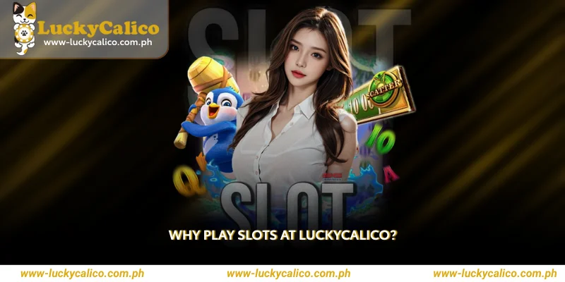 Why Play Slots at Luckycalico?