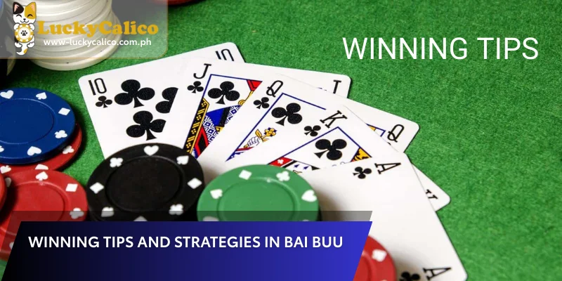 Winning Tips and Strategies in Bai Buu